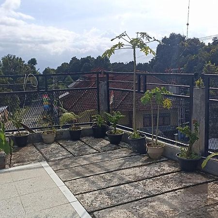 Puri Pilihani Hostel Munduk  Ngoại thất bức ảnh